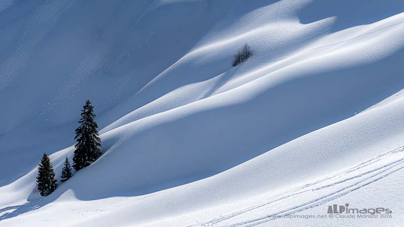 Neige et solitude