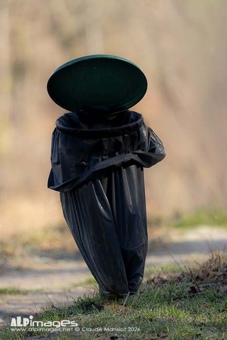 La dame au chapeau