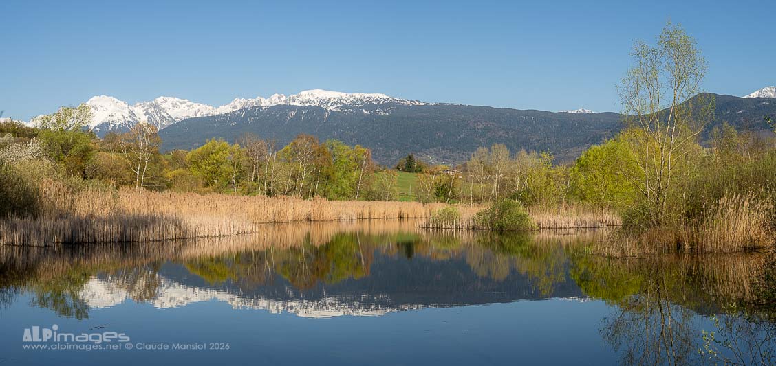 L'étang de Haute Jarrie