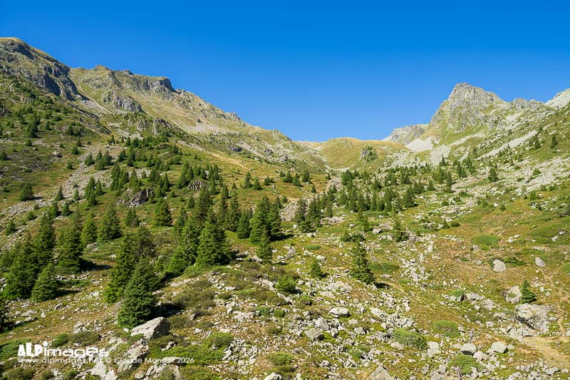 Vallon du Vénétier