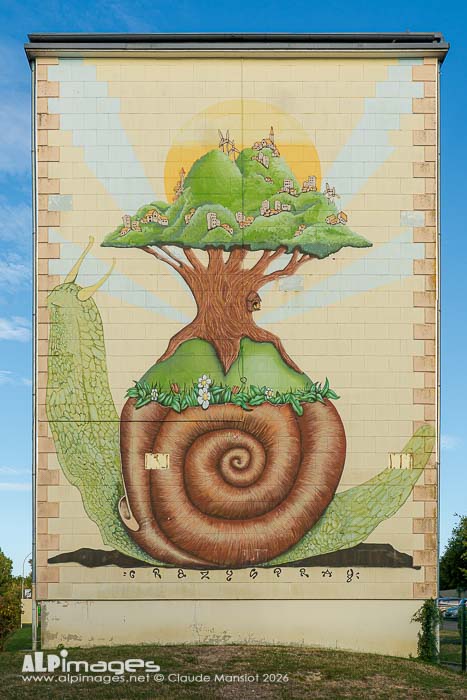 L'escargot de Bourgogne