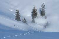 Neige et brouillard