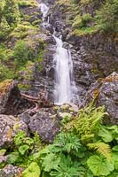 Cascade de l'Oursière